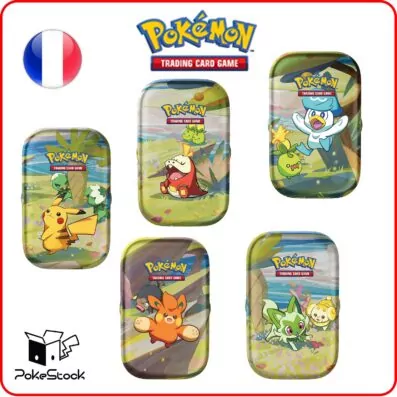 lot de 5 mini tin amis de paldéa en français